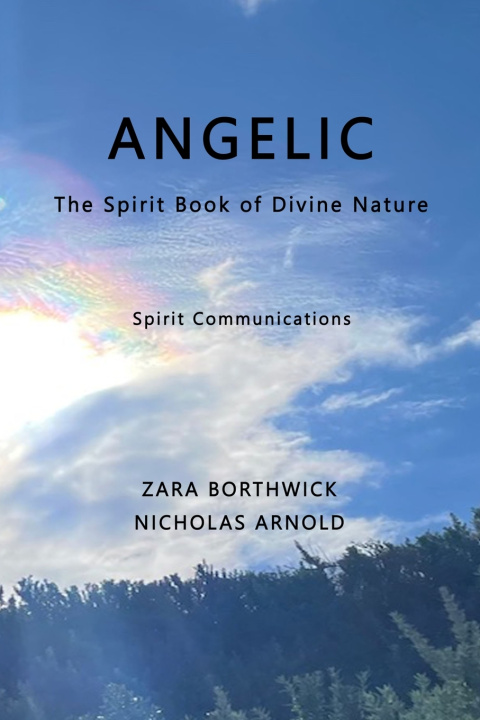 Kniha Angelic Zara Borthwick