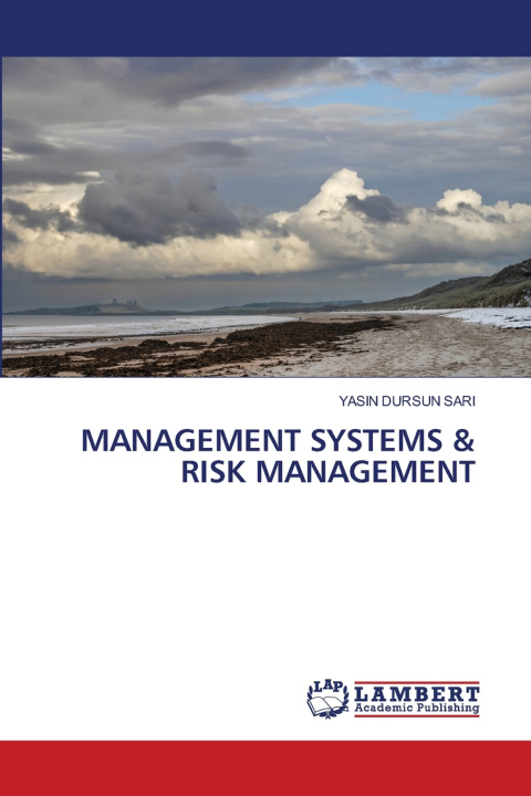 Kniha MANAGEMENT SYSTEMS & RISK MANAGEMENT YASIN DURSUN SARI