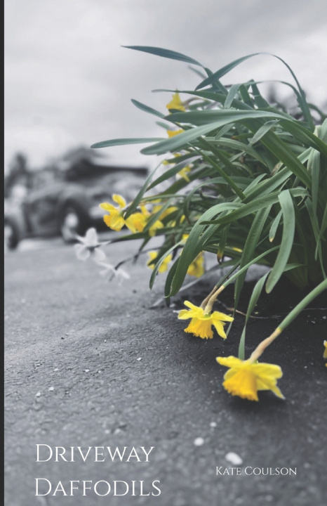 Książka Driveway Daffodils Kate Coulson