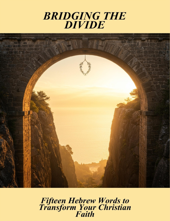 Kniha Bridging The Divide Jenny Aponte