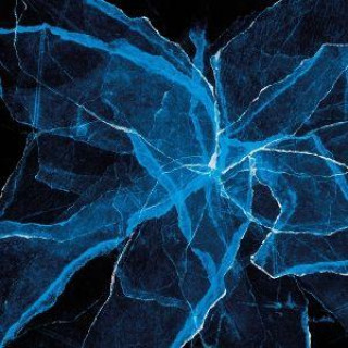 Audio Shards BlankFor.ms