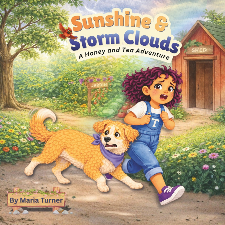 Kniha Sunshine & Storm Clouds Maria Turner