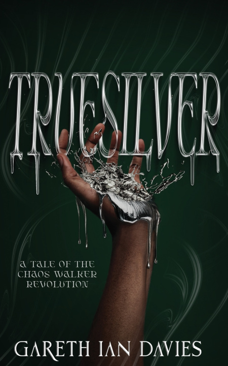 Kniha Truesilver Gareth Ian Davies