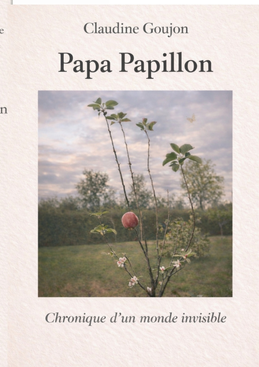 Kniha Papa Papillon Claudine Goujon