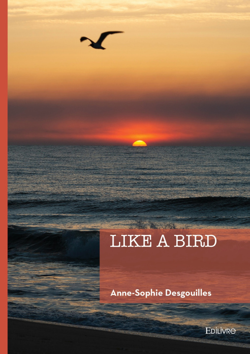 Kniha Like a bird Anne-Sophie Desgouilles