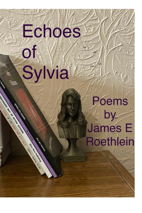 Książka Echoes ofSylvia James E. Roethlein