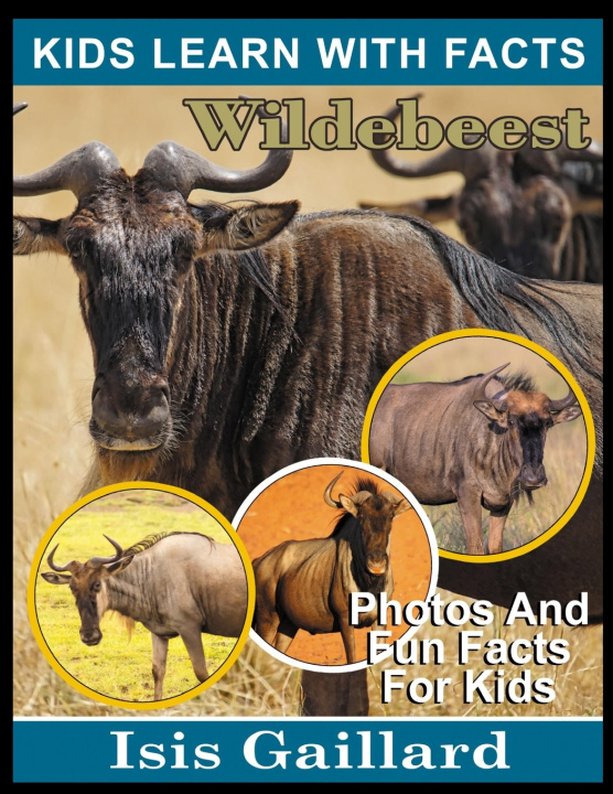 Kniha Wildebeest Isis Gaillard