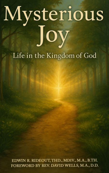 Knjiga Mysterious Joy EDWIN R. RIDEOUT