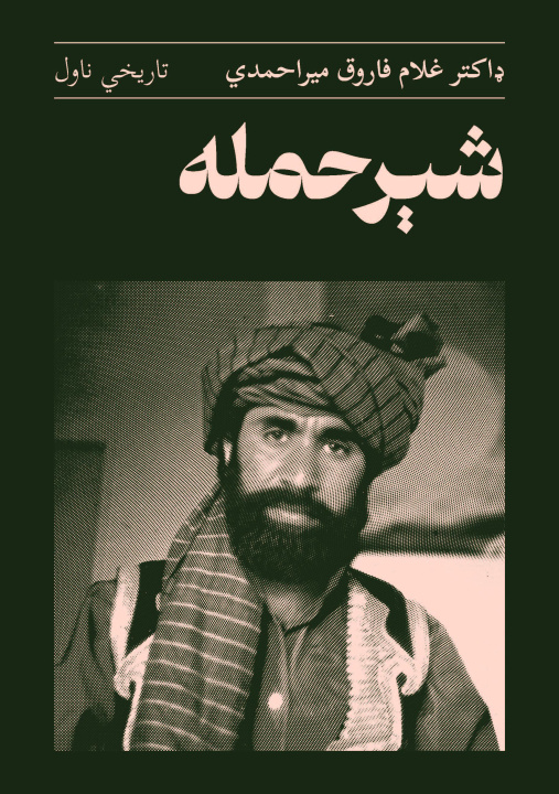 Kniha Scheer Hamla 
