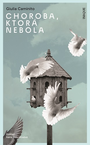 Książka Choroba, ktorá nebola Giulia Caminito