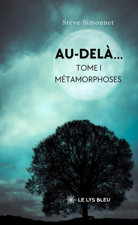 Kniha Au-delà... Steve Simonnet