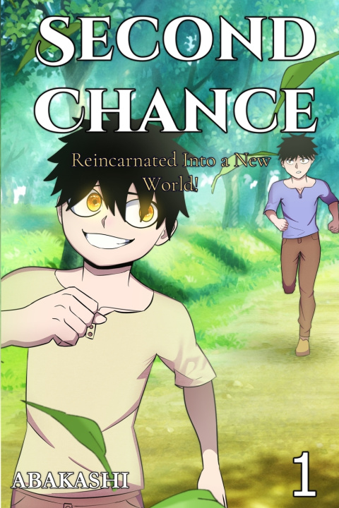 Kniha Second Chance Abakashi .