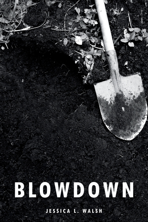 Książka Blowdown Jessica L. Walsh