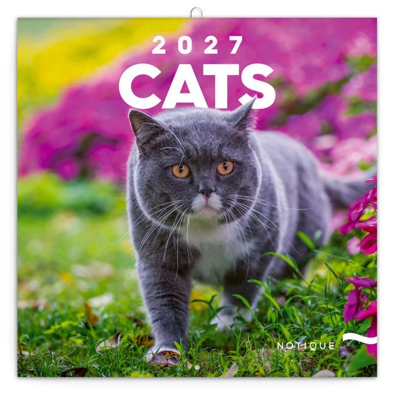 Buch Kalendář 2027 poznámkový: Kočky 2027, 30 x 30 cm 