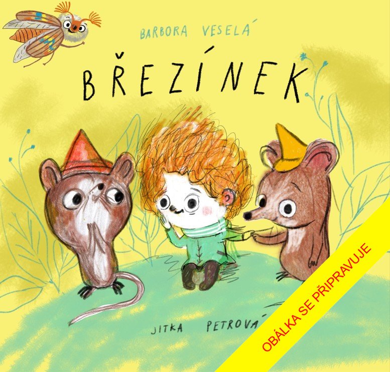 Książka Březínek 