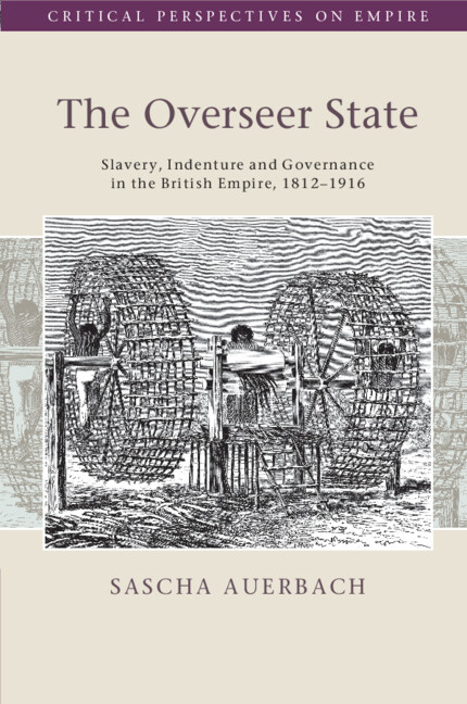Kniha The Overseer State Sascha Auerbach