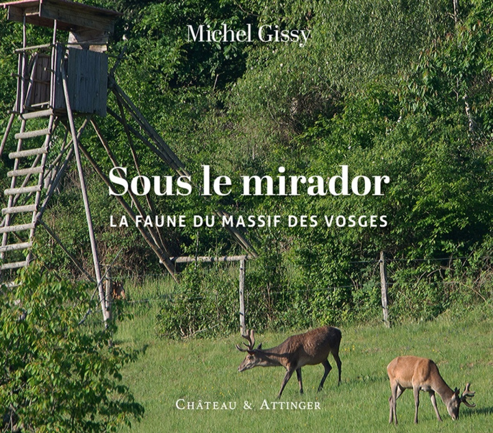 Kniha SOUS LE MIRADOR GISSY