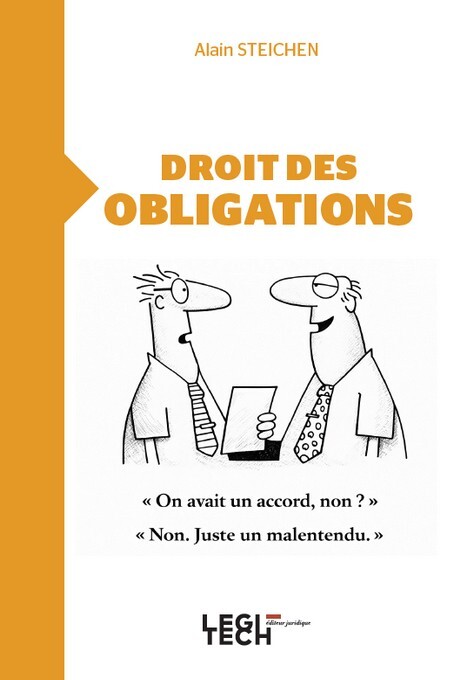 Książka Droit des obligations Steichen