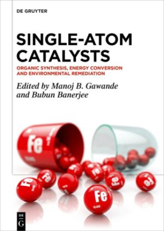 Libro Single-Atom Catalysts Manoj B. Gawande
