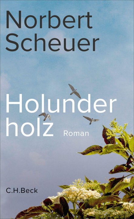 Kniha Holunderholz Norbert Scheuer