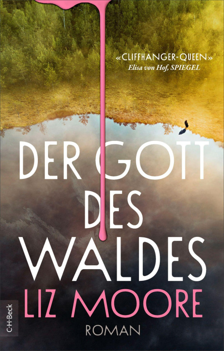 Книга Der Gott des Waldes Liz Moore