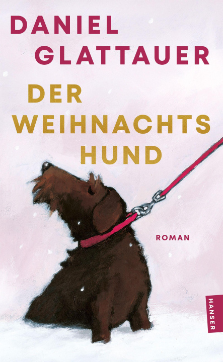 Książka Der Weihnachtshund Daniel Glattauer