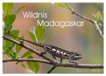 Kalendár/Diár Wildnis Madagaskar (Wandkalender 2027 DIN A2 quer), CALVENDO Monatskalender Calvendo