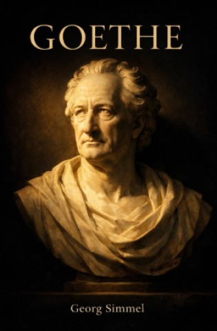 Knjiga Goethe Georg Simmel