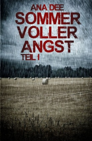 Buch Sommer voller Angst Ana Dee