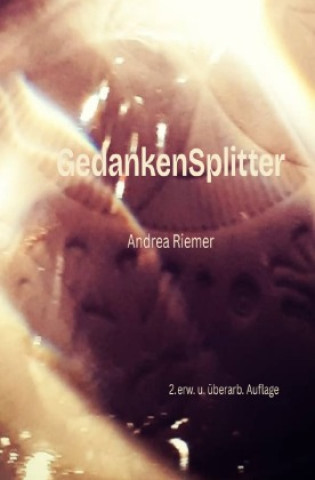 Kniha GedankenSplitter Andrea Riemer