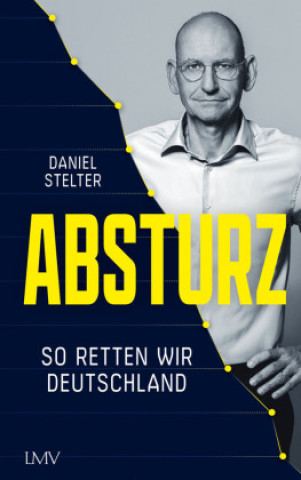 Buch Absturz Daniel Stelter