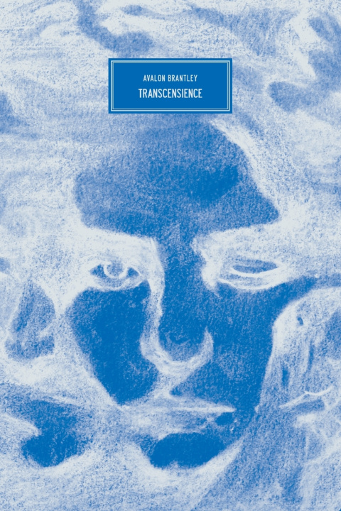 Boek Transcensience Lockett Hollis