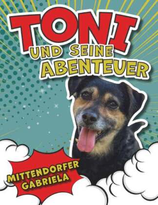 Kniha Toni und seine Abenteuer Gabriela Mittendorfer