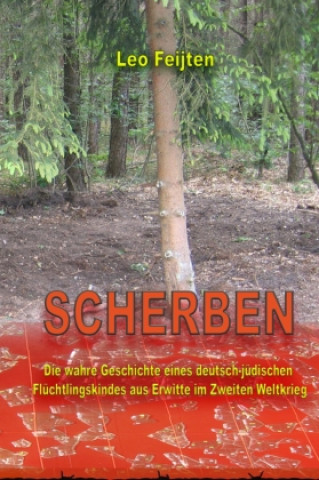 Knjiga SCHERBEN Leo Feijten