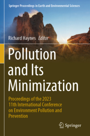 Książka Pollution and Its Minimization Richard Haynes