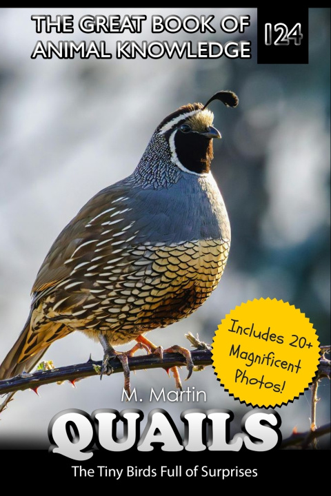 Knjiga Quail M Martin