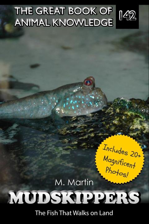Kniha Mudskippers M Martin