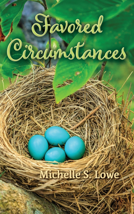 Kniha Favored Circumstances Michelle S Lowe