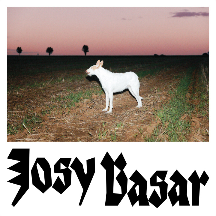 Zvok CHIEN BASAR