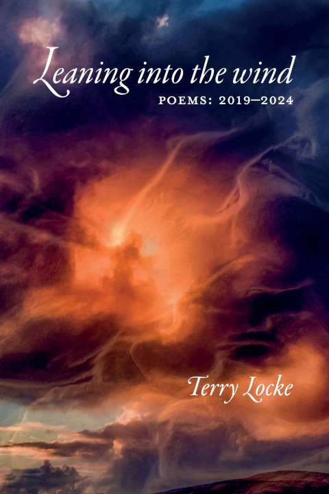 Książka Leaning into the wind Terry Locke