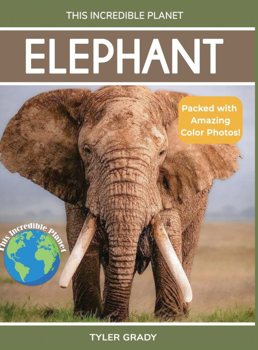 Książka Elephant Tyler Grady