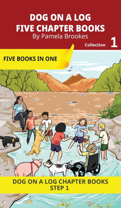Książka FIVE CHAPTER BOOKS 1 Pamela Brookes
