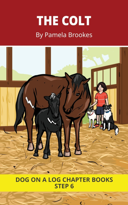 Kniha The Colt Chapter Book Pamela Brookes