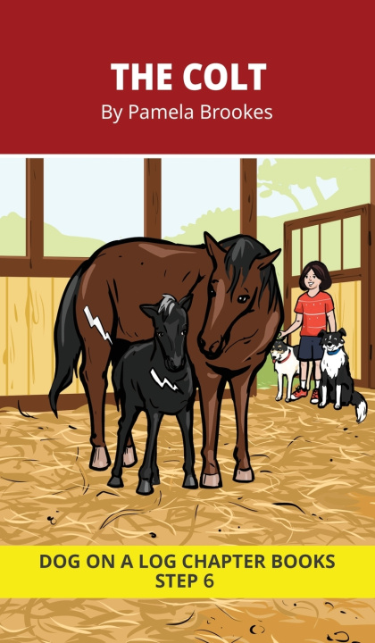 Książka The Colt Chapter Book Pamela Brookes