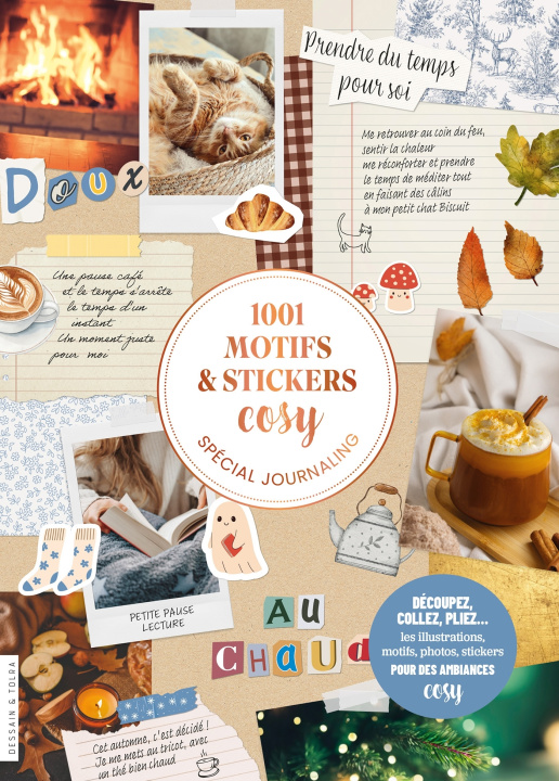 Buch 1001 motifs et stickers cosy 