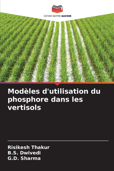 Książka Modèles d'utilisation du phosphore dans les vertisols Risikesh Thakur