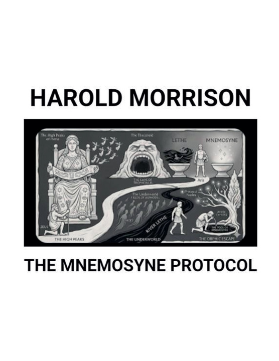 Książka The Mnemosyne Protocol Harold Morrison