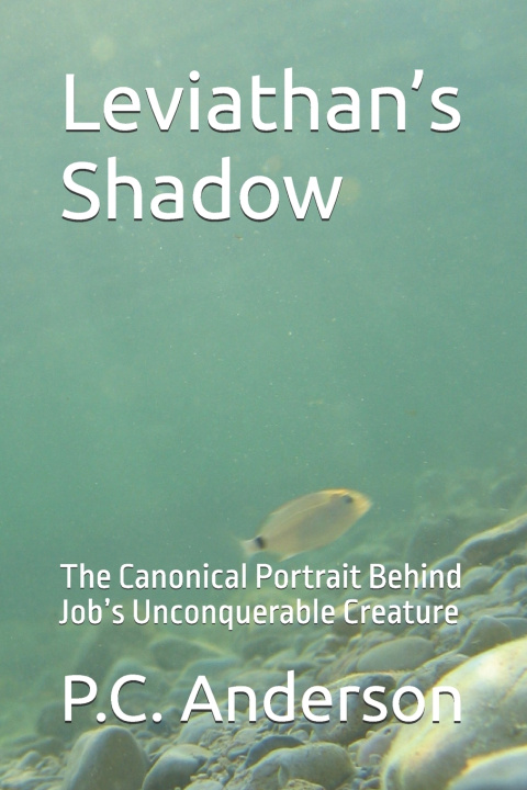 Kniha Leviathan's Shadow P.C. Anderson