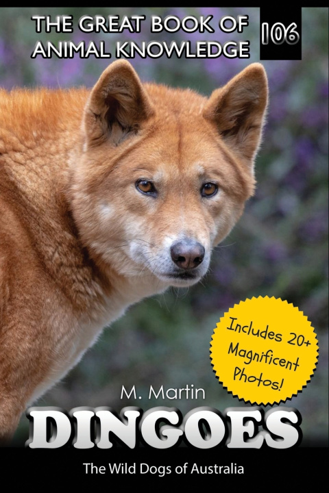 Knjiga Dingoes M Martin