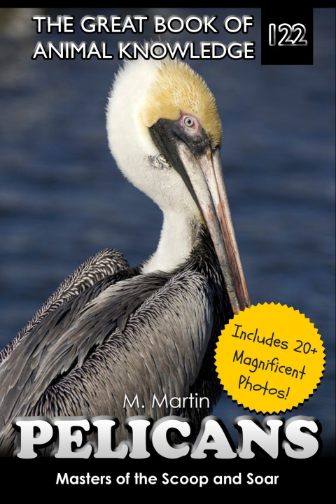 Knjiga Pelicans M Martin